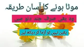 Mota Hone Ka Tarika In Urdu Wazan Barhane Ka Tarika  How To Gain Weight  In Urdu Hindi