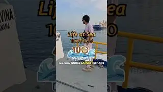 #100 ship in panama cannal #youtube #ship #shorts