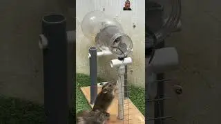 Rat Trap 88, This is the best mouse trap I've ever made #shoprt