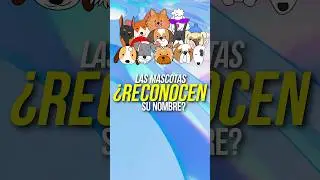 ¿Las MASCOTAS RECONOCEN SU NOMBRE? #animales #curiosidades #perros #gatos