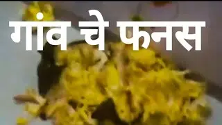 वर्ड पूर्णिमा celebration with sweet sweet jackfruit 😍