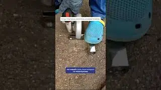 Когда купил смеситель по отзывам — и остался доволен😍 #смеситель #сантехника