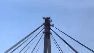 Соколы России г.Череповец 23.08.2015