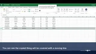 MyGuide: Moving, copying, and inserting data in Excel