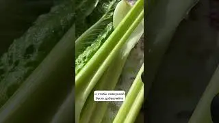Смузи с живыми витаминами: молодыми ростками крапивы, одуванчика и сныти 🌿