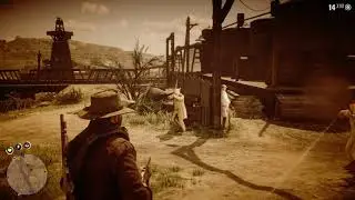 Red Dead Redemption 2: делаем испытание стрелка №8