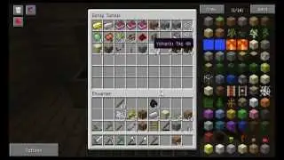 Minecraft Bölüm 11 - kedi evcilleştirme çabaları