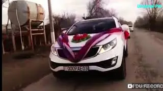 Tuy Laqaylar Wedding Туй Лакайлар свадьба