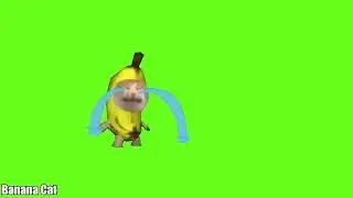 😺 BANANA CAT ИЛИ КОТ-БАНАН 🍌 