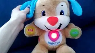 Smart puppy Fisher Price review of the developing musical toy