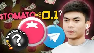 Tomarket Airdrop of $TOMATO Telegram Game Snapshot Update!!
