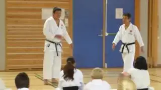NTKF Gasshuku med sensei Kawasoe