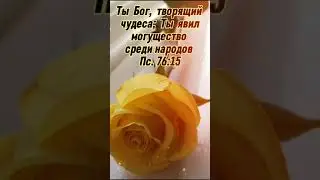 Друзья жду вас на новом канале! С любовью Rebeka!Христианское пожелание!