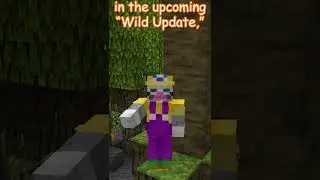 The New Music Disc In Minecraft (1.19) #shorts