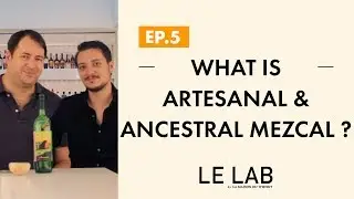 What is Artesanal & Ancestral Mezcal (Ep. 5)