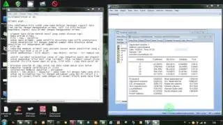 Regresi Data Primer Dengan EViews