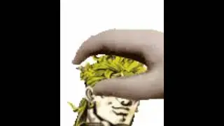#jojo