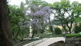 Poços de Caldas