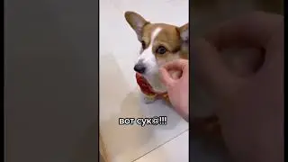 Главное, что мы поели