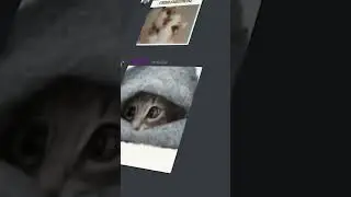Best Discord Servers For Video Editing Part 2