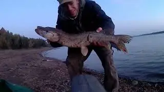 Рыбзавхоз ТВ