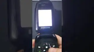 Samsung SGH-C520 Battery empty