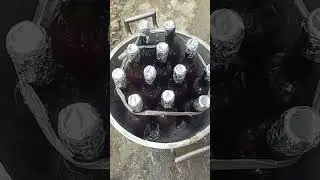 Pasteurizing newly harvested Dragon fruit wines
