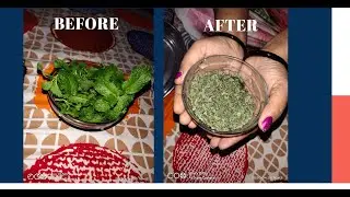घर पर ऐसे बनाएं पुदीना पाउडर | How To Store Pudina/Mint Leaves For Long Time At Home #howtostoremint