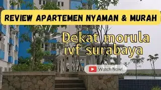 REVIEW APARTEMEN DEKAT MORULA IVF SURABAYA #promil #promilsurabaya