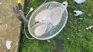 Nanna smashes vintage Breezemaster stand fan