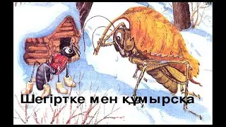 Шегіртке мен құмырсқа!