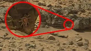 10 Strangest Recent Discoveries Found On Mars!