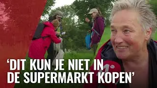 Wildplukkers jagen op eetbare planten in Amsterdamse natuur