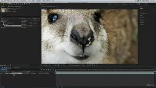 After Effects Basics Importing Media and Placing on the Timeline