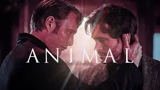 Hannibal x Will || Animal