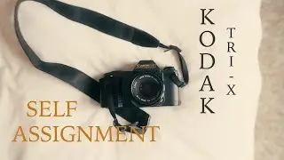 A Photography Self Assignment on Film