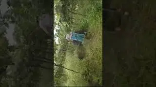 Grass Cutter