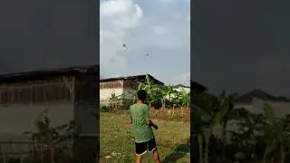 #SHORT