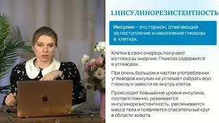 Больше информации в моем Телеграмм канале , ссылка в профиле.