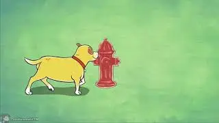 martha was an average dog