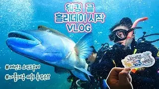 🇦🇺호주여행  #5 케언즈 | 그레이트 배리어 리프 스쿠버다이빙 (니모와 월리 🐠)  | Great barrier reef , Australia  여행vlog