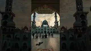 Trust. Rely On Allah.Comment 