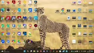 Windows 11 1 year later after upgrading from Windows 10