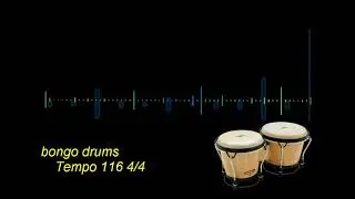 BONGO DRUMS TEMPO 116 4/4