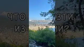 Что сейчас привозят россияне из Турции?