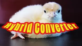 1. Гигантские индюки. Три дня отроду. Тяжелый кросс - Hybrid Converter.