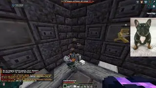 PvP Funtime | 1.16 - 1.21 | Doomsday