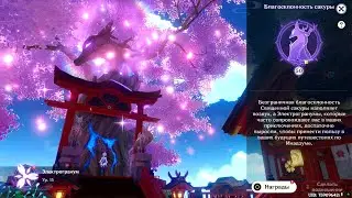 Genshin Impact – Sakura tree 50 level
