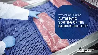 Automatic sorting of the bacon shoulder | Weber Line Solution