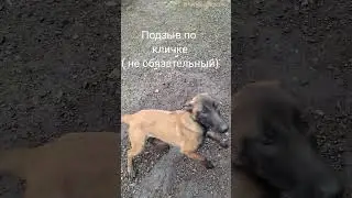 Подрыв по кличке.